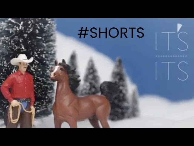 Its vs. It's - Apostrophe Grammar #shorts
