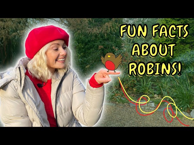 5 FUN FACTS ABOUT ROBINS