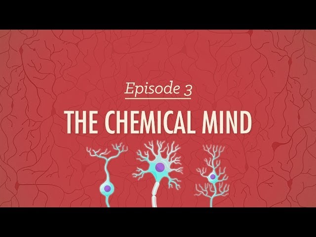 The Chemical Mind: Crash Course Psychology #3