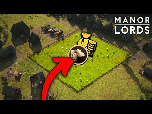 Breaking Manor Lords with Sheeps