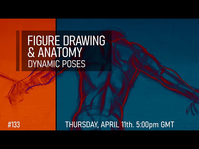 Figure Drawing & Anatomy - Dynamic Poses #133