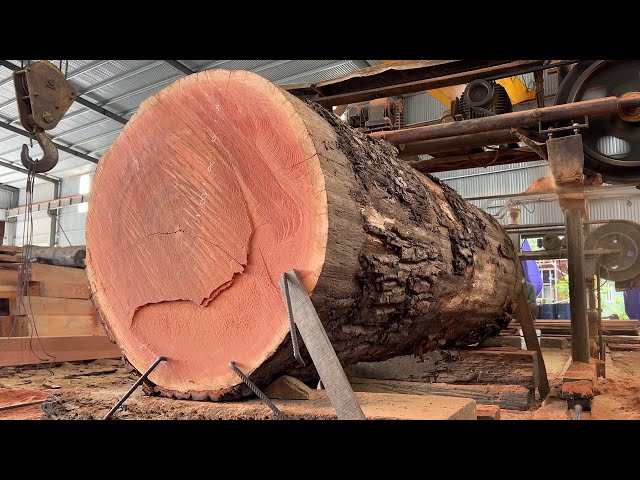 Amazing Woodworking Factory You must see | Extreme Wood Cutting Sawmill Machines Working