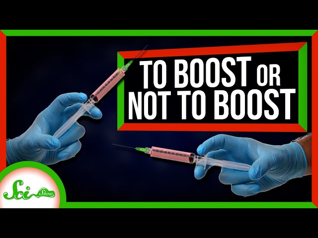 Why Only Some Vaccines Need Booster Shots