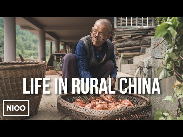 Day in the life of a Chinese farmer in his 80s