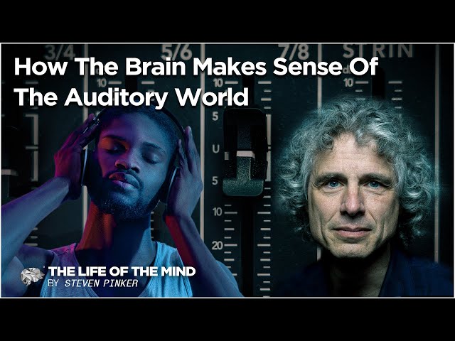 How The Brain Makes Sense Of The Auditory World (S1EP2)