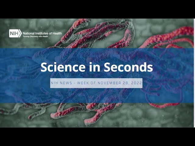 NIH Science in Seconds – Week of November 28, 2022