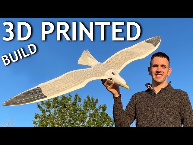 3D Printed EDF RC Seagull Full Build | Planeprint