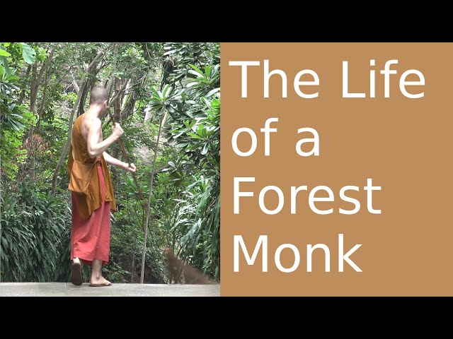 The Life of a Forest Monk