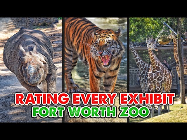 Rating Every Exhibit at the Fort Worth Zoo