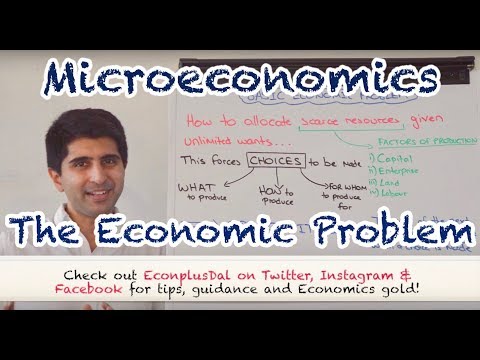 Microeconomics - Year 1 A Level and IB