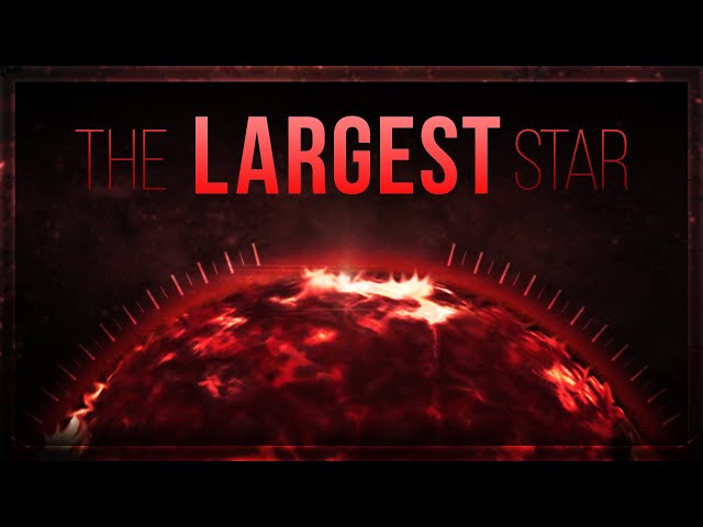 The Largest Star (Stephenson 2-18)