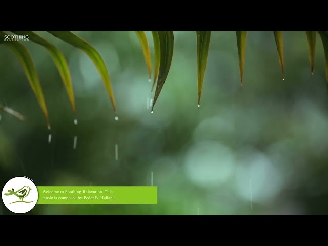 10 Hours of Relaxing Music - Sleep Music with Rain Sound, Piano Music for Stress Relief
