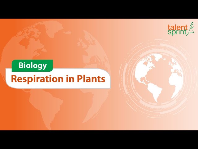 Respiration in Plants | Biology | General Awareness | TalentSprint Aptitude Prep