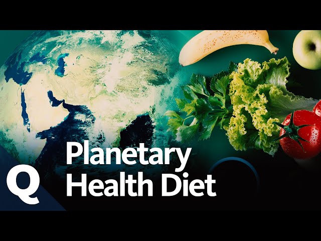 Planetary Health Diet: So können wir mit unserer Ernährung das Klima retten | Quarks