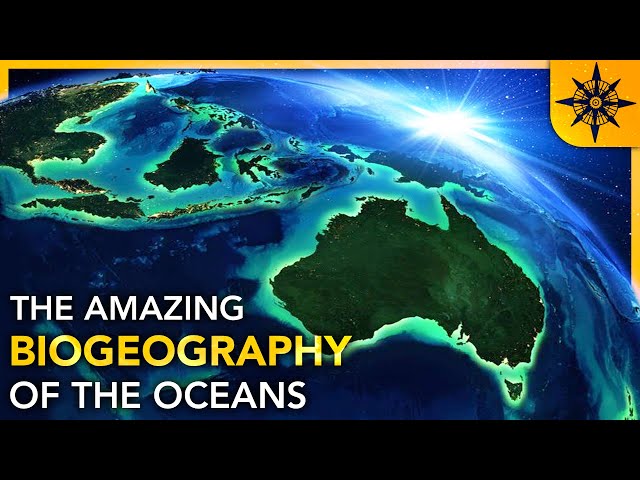 The Biogeography of the Oceans