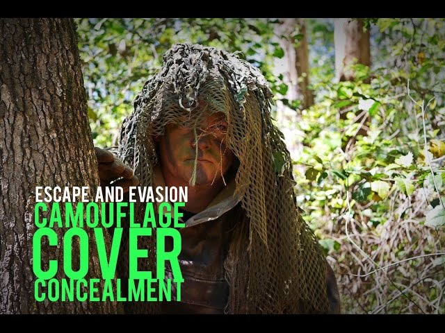Escape and Evasion: Camouflage, Cover, and Concealment