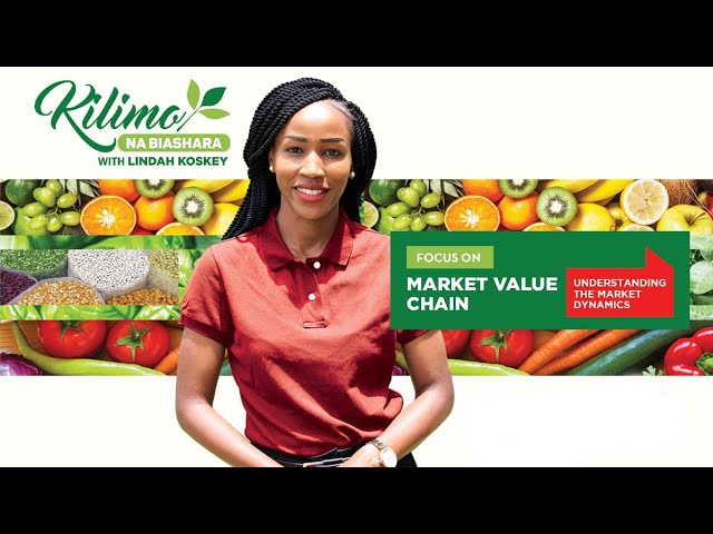 Focus on Market Value Chain | Kilimo na Biashara