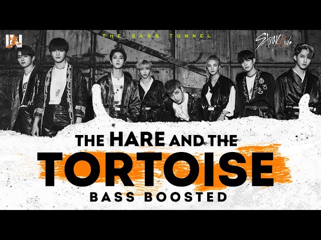 Stray kids - The Tortoise and the Hare [REVERB BASS BOOSTED]
