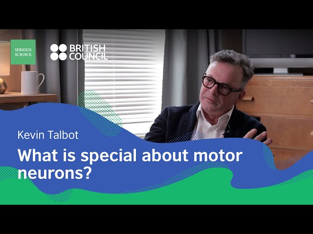 Motor Neurons — Kevin Talbot / Serious Science