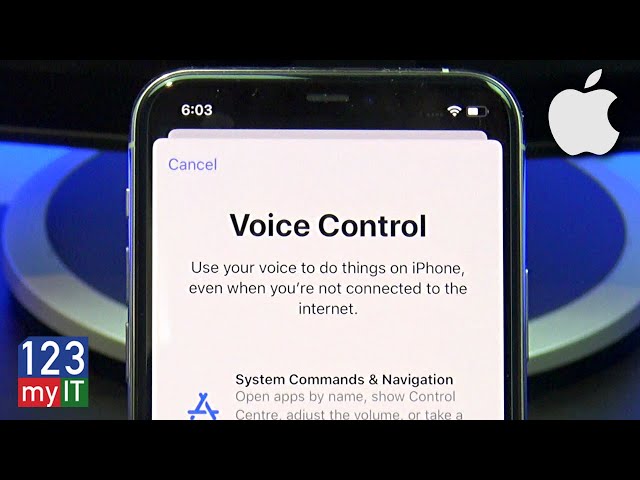Turn on Voice Control on iPhone iPad or iPod Touch