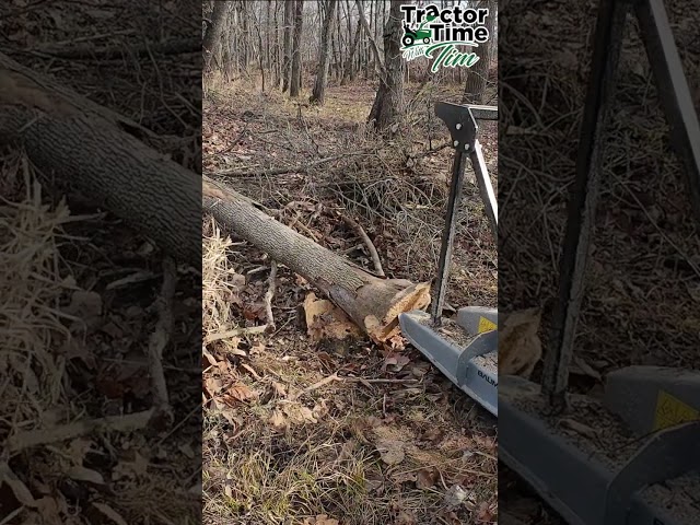 Tree Saw! No Chainsaw Needed