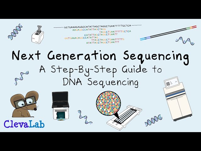 Next Generation Sequencing - A Step-By-Step Guide to DNA Sequencing.