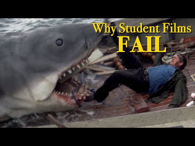Don't Touch The Fish: Why Student Films Fail