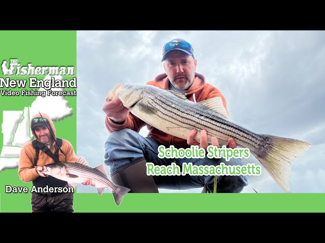 April 25th 2024 New England Video Fishing Forecast with Dave Anderson
