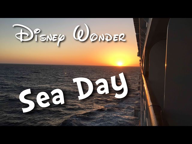 Disney Wonder Day 5- May 7-12, 2017 5 night | San Diego to Baja Mexico | Palo Brunch