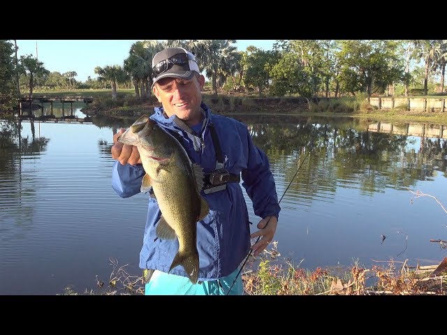 ALL TIME FAVORITE BASS LURE- NEVER FAILS!!! PLUS EPIC POND ADDITIONS!!!