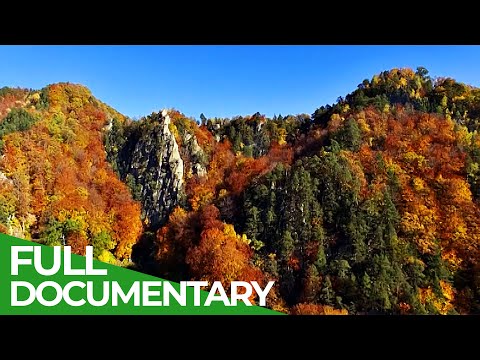 Wild Carpathia | Episode 4: Seasons of Change | Free Documentary Nature