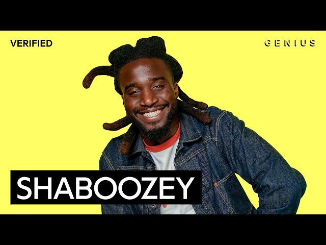 Shaboozey "Vegas" Official Lyrics & Meaning | Genius Verified