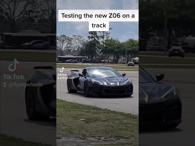 Testing the New Z06 on a track #shorts