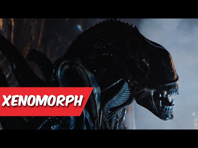 Xenomorph | Alien | Classics Of Cinematics With Monk & Bobby