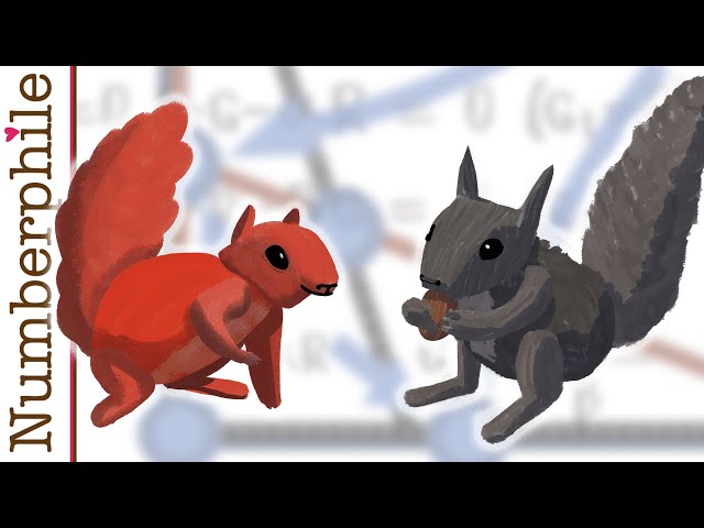 The Math of Species Conflict - Numberphile
