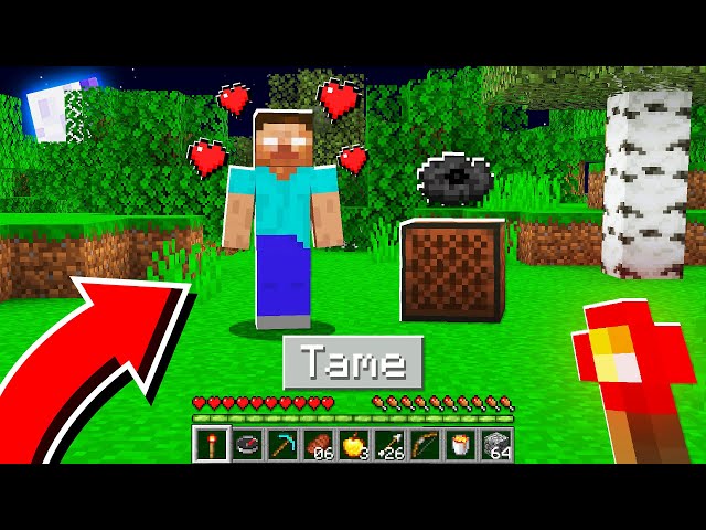 How to TAME a FRIENDLY Herobrine in Minecraft! (Mobile, PS4, Xbox, PC, Switch)