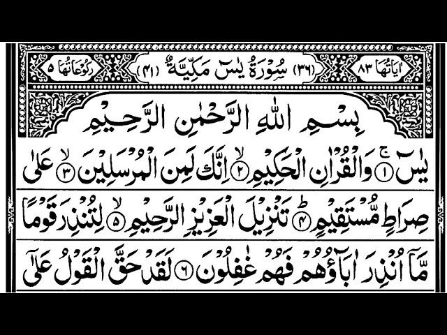 Surah Yasin (Yaseen) Surah rahman|Surah Mulk|With Arabic Beautiful recitation|Ayatul Kursi Dua (533)