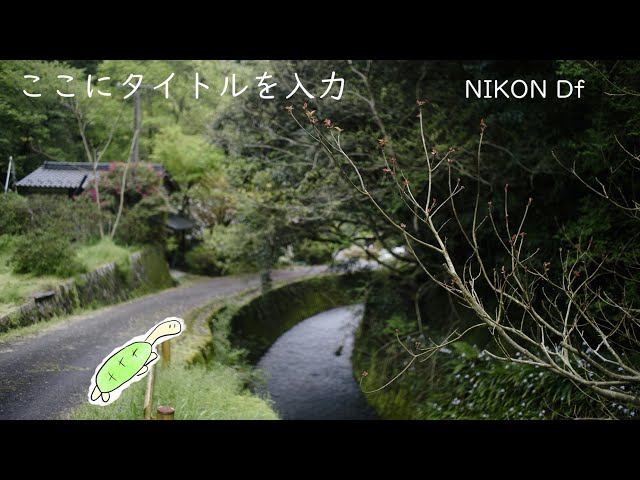 NIKON Df でなんともいえない滝を見に行くというか落ち着きに行くというか スチルとうろつき #36