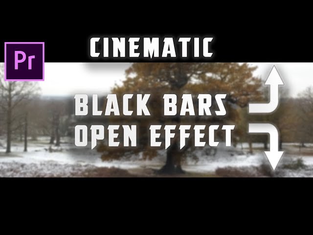 Adobe Premiere Pro CC Tutorial: Cinematic Animated Black Bars Open Effect