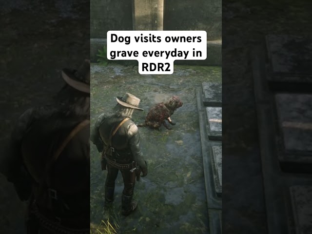 Dog Visits Owners Grave Everyday in RDR2