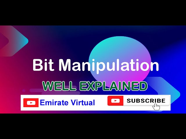 Bit Manipulation Instructions