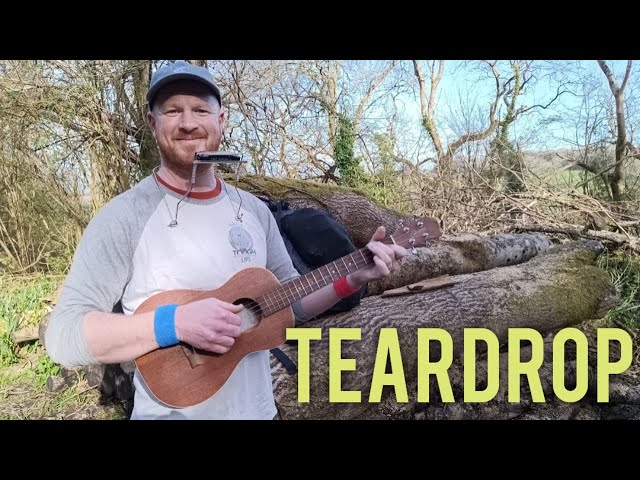 Teardrop by Massive Attack on route to an almost spring wild camp on Luccombe Down.. ( cover )