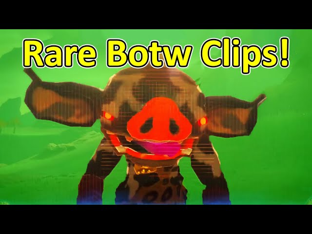 Rare Zelda Botw Clips!