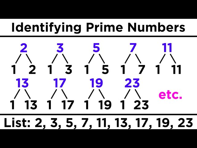 Divisibility, Prime Numbers, and Prime Factorization