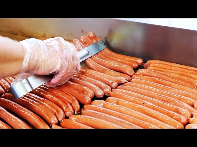 American Street Food - The BEST HOT DOGS in New York City! Nathan’s Famous Brooklyn NYC