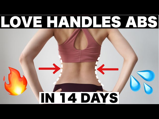 LOVE HANDLES WORK OUT 8min Standing Abs