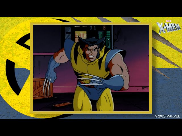 Wolverine | X-Men Character Spotlight