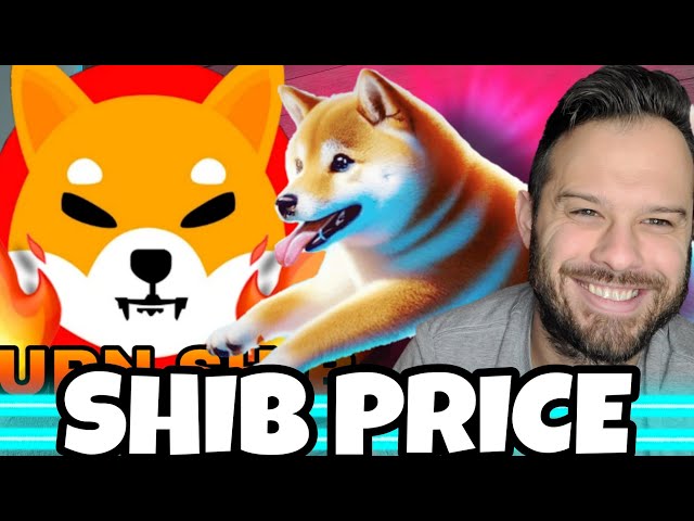 Shiba Inu Coin | SHIB AI Price Predictions Dogeverse Presale Continues To Rise In Price!