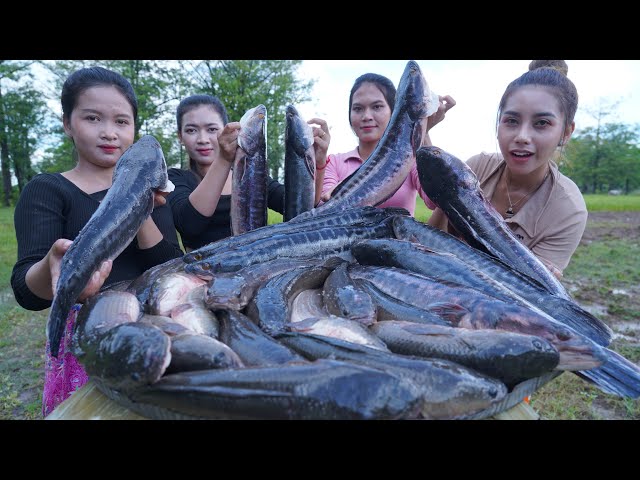 100 kg fish curry soup cook recipe - Amazing video