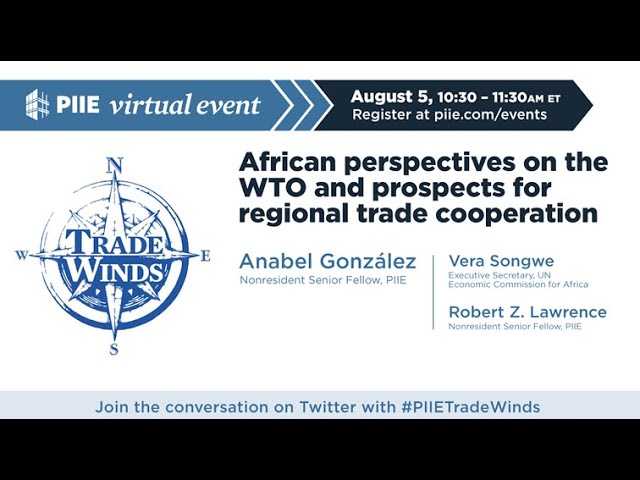 African perspectives on the WTO and prospects for regional trade cooperation